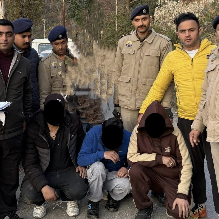 मंडी में हेरोइन समेत 3 युवक गिरफ्तार:संदिग्धों की चेकिंग के दौरान आए पकड़ में, एसआईयू टीम ने की कार्रवाई
