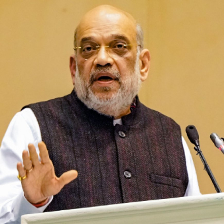 अमित शाह आज दिल्ली में भारतपोल पोर्टल लॉन्च करेंगे:देश से भागने वाले अपराधियों पर नजर होगी, रियल टाइम में इंटरपोल से हेल्प मिलेगी