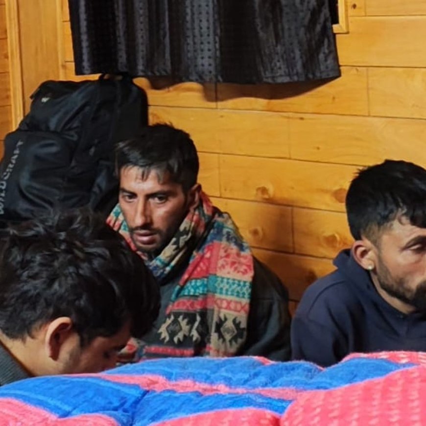 चंबा में फॉरेस्ट गार्ड पर हमला:अवैध पेड़ काटते पकड़े 3 लोग, 2 मौके से फरार, 28 हजार का जुर्माना लगा