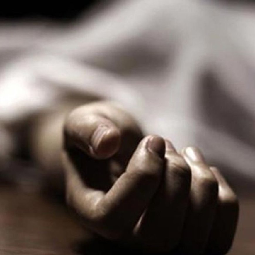 शिमला में पहाड़ से गिरा पत्थर, दादी-पोते की मौत:जेसीबी से खुदाई के कारण हादसा; पशुओं के लिए पत्ते लेने गए थे दोनों