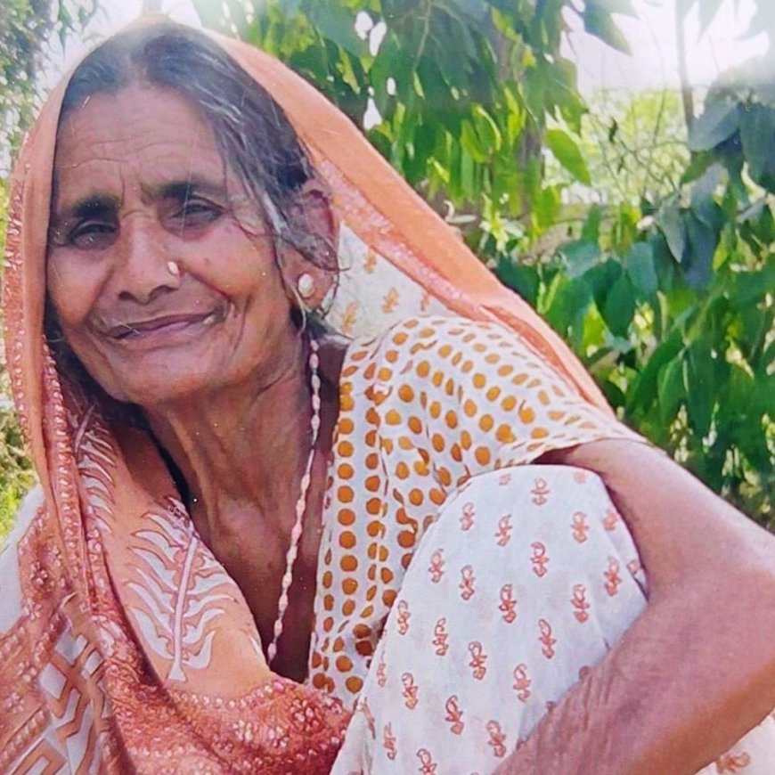 ट्रेन से कटकर बुजुर्ग महिला की मौत:काफी समय से थीं बीमार, दवा लेकर लौट रही थीं, ट्रैक पार करते समय हादसा