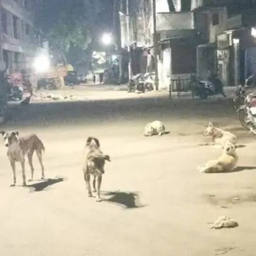 कुत्तों के दौड़ाने पर स्कूटी से गिरकर महिला की मौत:नवीन नगर काकादेव गुरुगोविंद सिंह स्टेडियम के सामने हुआ हादसा, सिर पर गंभीर चोट लगने से गई जान