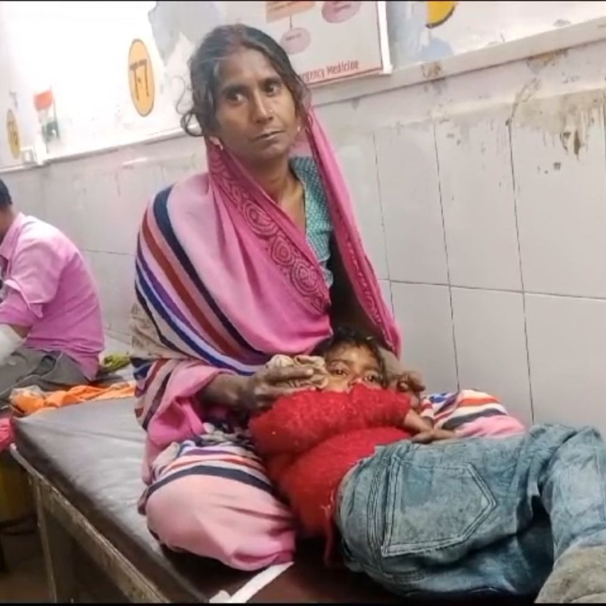 सियार ने दो मासूमों पर किया हमला:5 साल का बच्चा गंभीर रूप से घायल, दूसरा बाल-बाल बचा, दोनों दोस्त दुकान जा रहे थे
