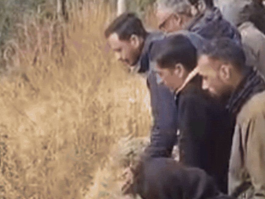 शिमला में खाई में गिरी नगर निगम की गाड़ी:ड्राइवर की मौके पर मौत, सूर्य की रोशनी आंखों पर पड़ने से हुआ हादसा