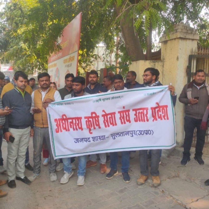 आवास प्लस सर्वे टीम पर जानलेवा हमला:ग्राम प्रधान समेत तीन की गिरफ्तारी की मांग, कर्मचारियों ने किया कलेक्ट्रेट में प्रदर्शन