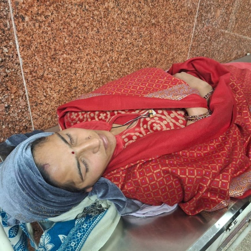 शिमला में महिला पर चाकू से हमले की कहानी झूठी:पुलिस पूछताछ में बोली पीड़िता, परिवार का ध्यान खींचने के लिए रची साजिश