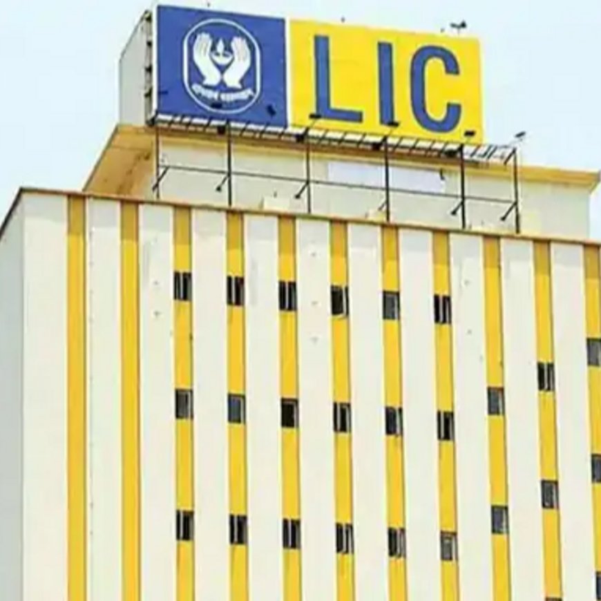 LIC का तीसरी-तिमाही में मुनाफा 16% बढ़कर ₹11,009 करोड़:नेट प्रीमियम इनकम 9% घटी, इंश्योरेंस कंपनी का शेयर एक साल में 26% गिरा