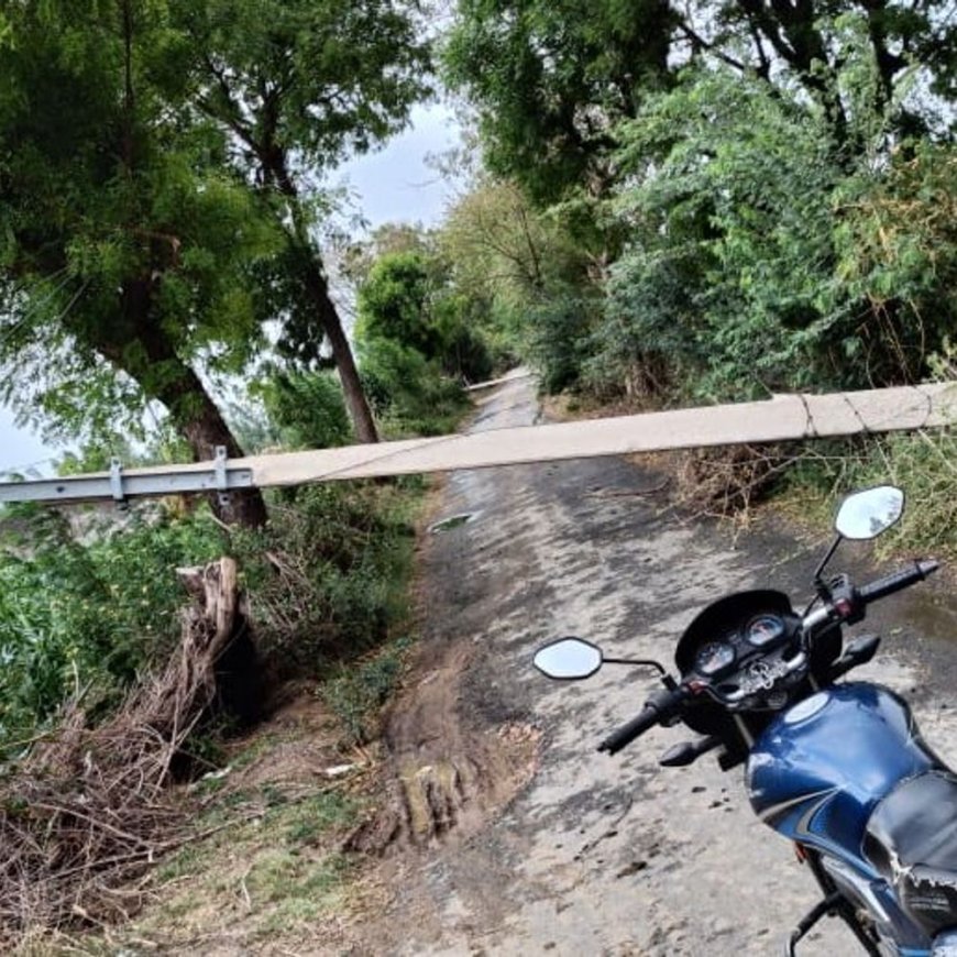 मथुरा के फरह में आंधी-बारिश का कहर:दर्जनों गांवों में बिजली के खंभे गिरे, मुर्गा फार्म का टीन शेड उड़ा