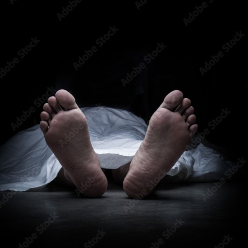 पंजाब के टूरिस्ट की हाई-एल्टीट्यूट सिकनेस से मौत:दारचा में सांस लेने में दिक्कत, केलांग पहुंचने से पहले दम तोड़ा, लेह से लौट रहे थे
