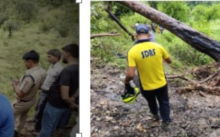 धनोल्टी में भयानक हादसा: स्कूल से लौटते समय पेड़ गिरने से दो बच्चों की जान गई