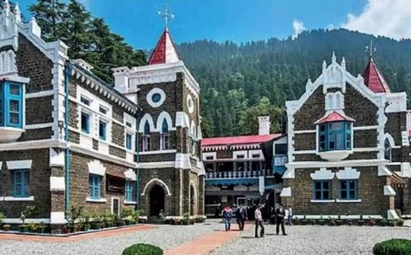 नैनीताल जिला पंचायत चुनाव: हाईकोर्ट ने चुनाव आयोग को दो दिनों में पेश करने का दिया आदेश