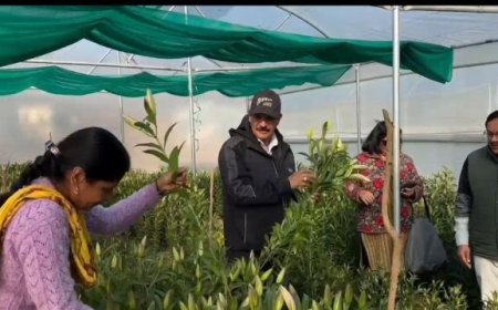 उत्तराखण्ड के आत्मनिर्भरता के सपने को साकार कर रही हैं महिलाएं – सीएम धामी