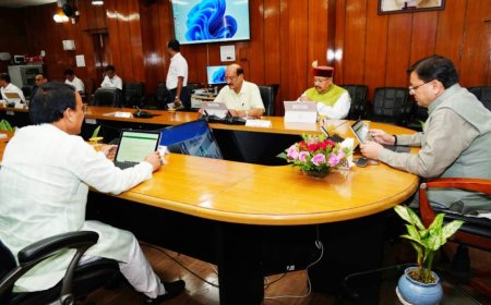 उत्तराखंड: मुर्गी पालकों को कुक्कुट आहार में मिलेगी सब्सिडी, धामी कैबिनेट के अहम निर्णय