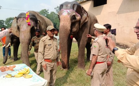 कॉर्बेट टाइगर रिजर्व के वन्य प्राणी सप्ताह का चौथा दिन: विशेष कार्यक्रमों का आयोजन