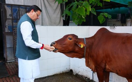 मुख्यमंत्री पुष्कर सिंह धामी ने गौ माता की पूजा-अर्चना कर प्रदेश की खुशहाली कामना की