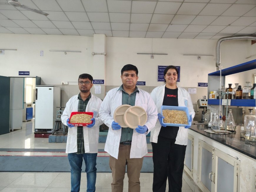 IIT रुड़की का नया इनोवेशन: भूसे से बने बायोडिग्रेडेबल टेबलवेयर से प्लास्टिक प्रदूषण का समाधान