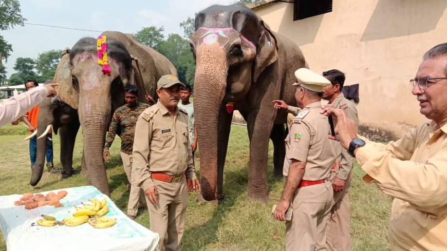 कॉर्बेट टाइगर रिजर्व के वन्य प्राणी सप्ताह का चौथा दिन: विशेष कार्यक्रमों का आयोजन