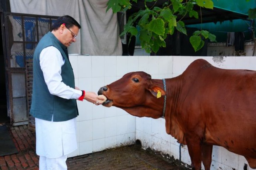 मुख्यमंत्री पुष्कर सिंह धामी ने गौ माता की पूजा-अर्चना कर प्रदेश की खुशहाली कामना की