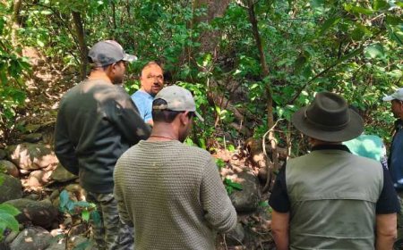 बड़ी खबर-कार्बेट टाइगर रिजर्व: गश्त के दौरान वयस्क गुलदार मृत अवस्था में मिला, सभी अंग सुरक्षित
