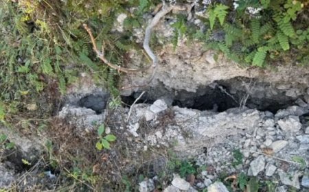 उत्तराखंड : घरों के नीचे 1 मीटर तक गहरी दरारें, मंडरा रहा बड़ा ख़तरा