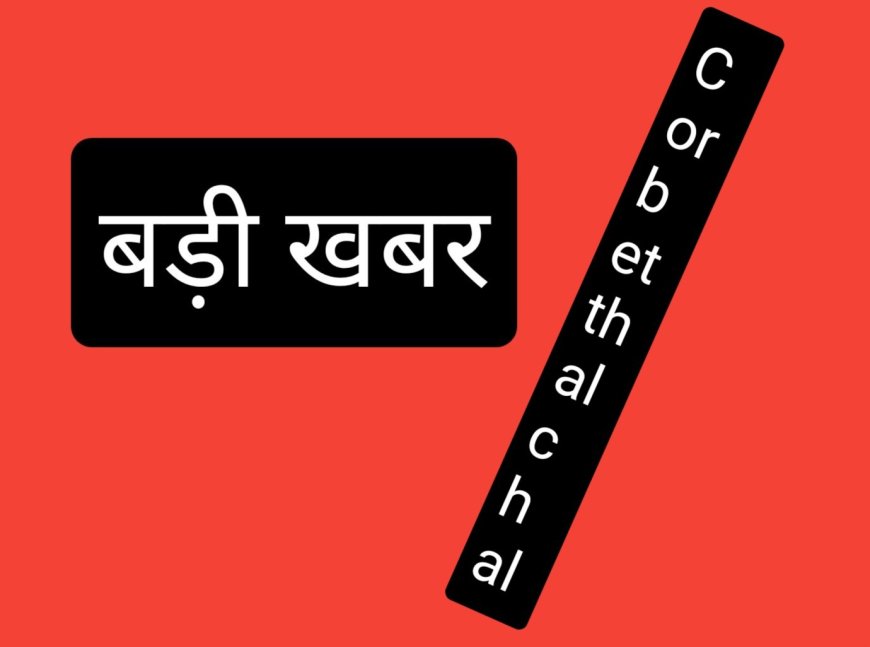 बड़ी खबर-रामनगर ब्लॉक में ग्राम पंचायत उपचुनाव: 201 पदों पर 20 नवंबर को वोटिंग, 22 को नतीजे