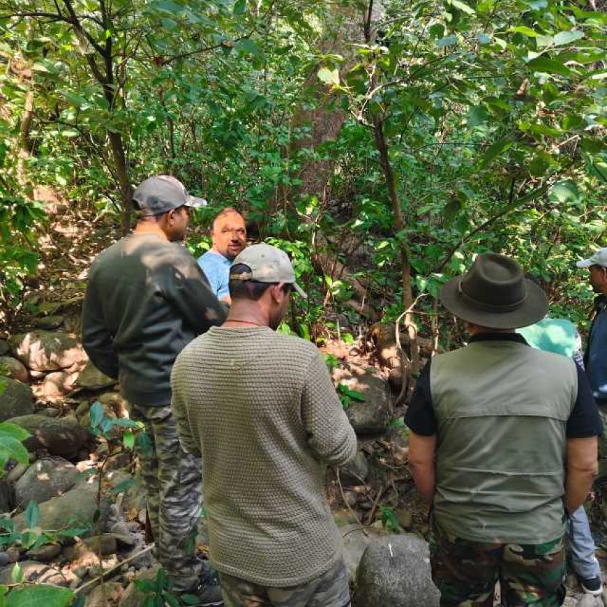 बड़ी खबर-कार्बेट टाइगर रिजर्व: गश्त के दौरान वयस्क गुलदार मृत अवस्था में मिला, सभी अंग सुरक्षित