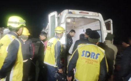 बड़ी खबर-(उत्तराखंड) आधी रात थार वाहन गहरी खाई में गिरा, 05 व्यक्ति थे सवार