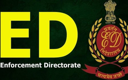 ईडी का बड़ा एक्शन,  युवराज  सिंह, सोनू सूद और  उर्वशी रौतेला समेत कई सेलेब्रिटीज की संपत्तियां कुर्क