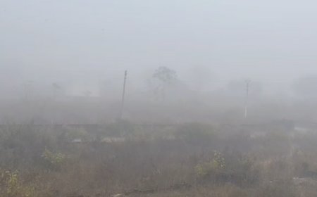 उत्तर भारत में भीषण शीतलहर और घने कोहरे का प्रकोप जारी, आज भी उड़ानें रद्द, रेल यातायात भी प्रभावित 