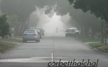 Uttrakhand weather-आज इन जिलों के लिए घने कोहरे, शीत दिवस का येलो अलर्ट, यहाँ स्कूलों में छुट्टी