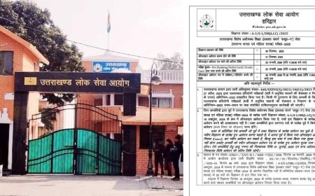 युवाओं के लिए खुशखबरी, इंटर कॉलेज प्रवक्ता के 808 पदों पर निकली भर्ती, जल्दी करें आवेदन