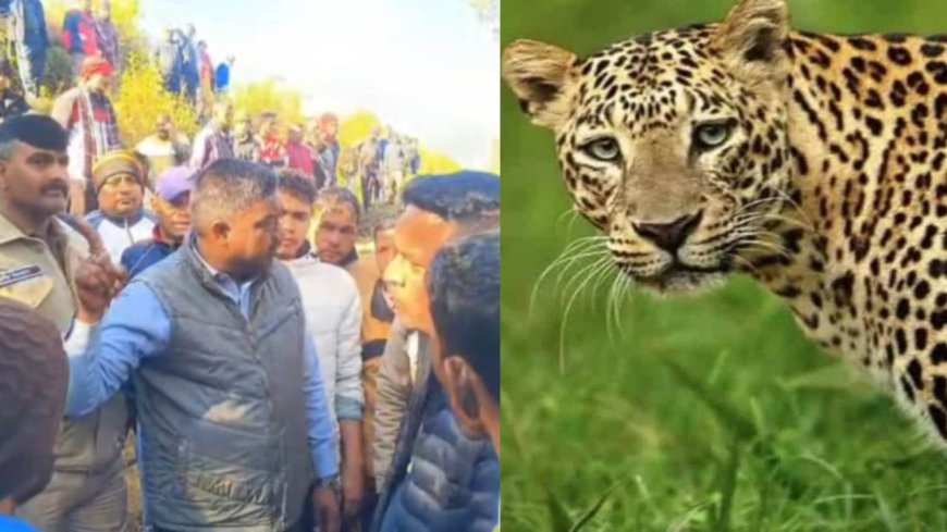 गुलदार का आतंक जारी: पौड़ी में 42 वर्षीय राजेंद्र की हत्या से ग्रामीणों में गुस्सा