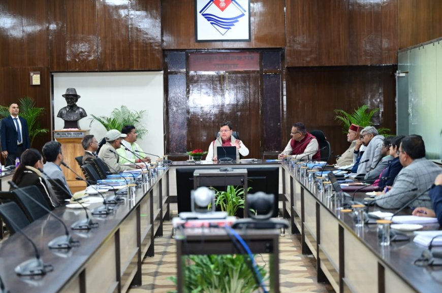 मुख्यमंत्री का जोर: हर्बल और जड़ी-बूटी क्षेत्र में नवाचार, वैल्यू एडिशन और मार्केटिंग पर ध्यान केंद्रित करें