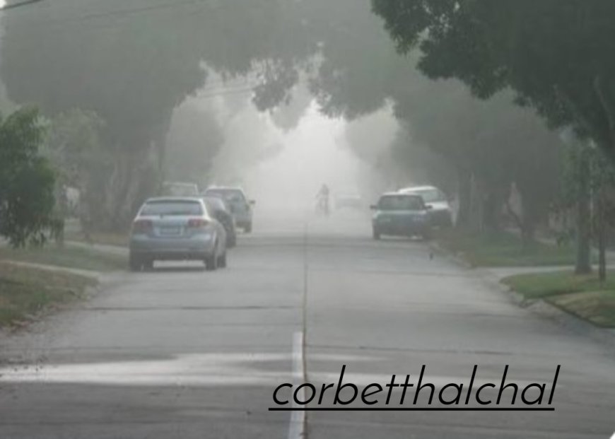 Uttrakhand weather-आज इन जिलों के लिए घने कोहरे, शीत दिवस का येलो अलर्ट, यहाँ स्कूलों में छुट्टी