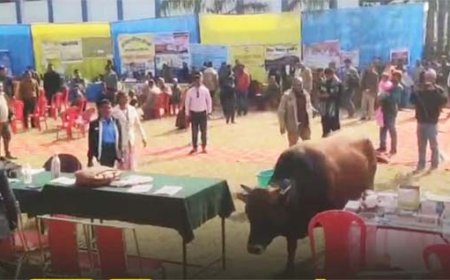 उत्तराखंड में “जन-जन की सरकार” कार्यक्रम में सांड की अफरा-तफरी का मंजर