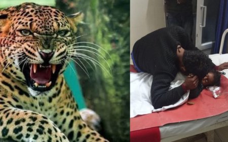 दुखद: पहाड़ों में गुलदार का आतंक, जयहरीखाल में डेढ़ साल की बच्ची का शिकार