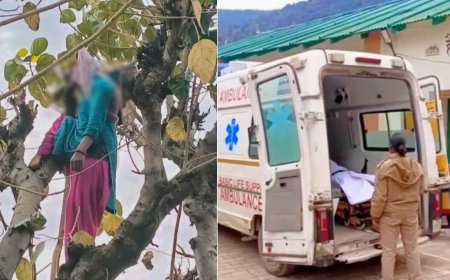 दुखद: हाईटेंशन लाइन की चपेट में आने से महिला की दर्दनाक मौत, चारापत्ती काटते वक्त हुआ हादसा