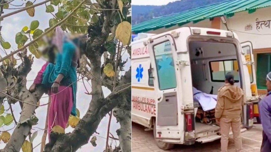 दुखद: हाईटेंशन लाइन की चपेट में आने से महिला की दर्दनाक मौत, चारापत्ती काटते वक्त हुआ हादसा