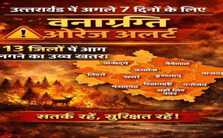 उत्तराखंड में अगले 7 दिनों के लिए वनाग्नि को लेकर ऑरेंज अलर्ट जारी, 13 जिलों में आग लगने का उच्च खतरा