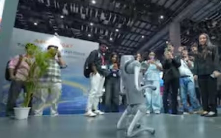 गलगोटियास यूनिवर्सिटी पर चीनी रोबोटिक डॉग को अपना बताकर पेश करने के आरोप, एक्सपो से बाहर करने के आदेश