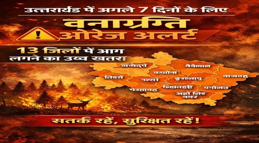 उत्तराखंड में अगले 7 दिनों के लिए वनाग्नि को लेकर ऑरेंज अलर्ट जारी, 13 जिलों में आग लगने का उच्च खतरा