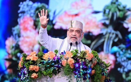 केदारनाथ से कन्याकुमारी तक घुसपैठ पर होगी सख्ती : गृहमं