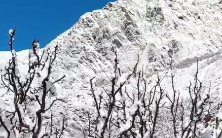 उत्तरकाशी : बर्फ से ढकी चोटियां चमकीं, सेब के बागवानों के लिए बड़ी राहत