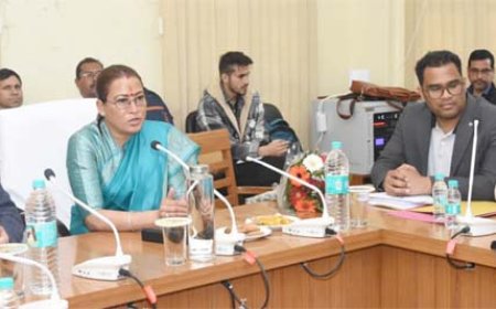 पहली बार डिजिटल माध्यम से होगी जनगणना, फील्ड ट्रेनरों की ट्रेनिंग शुरू