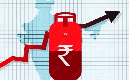 PNG उपलब्ध होने पर भी कनेक्शन से मना किया तो नहीं मिलेगी LPG, पढ़ें पूरा आदेश