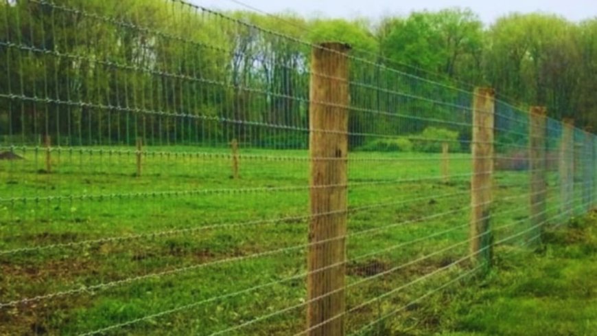 DEHRADUN: किसानों की फसल बचाने को केंद्र से 25 करोड़, घेर-बाड़ योजना को फिर मदद