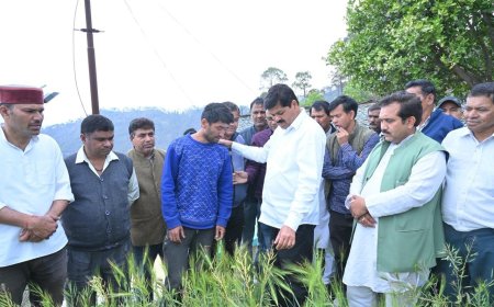 पौड़ी: भटकोट में आदमखोर बाघ ने चार वर्षीय बच्ची की जान ली, कांग्रेस अध्यक्ष ने की स्थिति की जांच