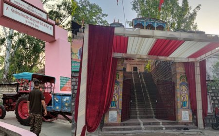 राजाजी टाइगर रिजर्व के कोर जोन में मंत्री के बेटे की शादी विवाद, वन विभाग ने दर्ज किया केस