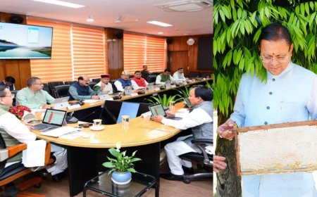 धामी सरकार का मौनपालन नीति से 10 हजार रोजगार का सृजन, कैबिनेट ने दी मंजूरी