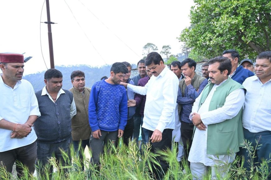 पौड़ी: भटकोट में आदमखोर बाघ ने चार वर्षीय बच्ची की जान ली, कांग्रेस अध्यक्ष ने की स्थिति की जांच